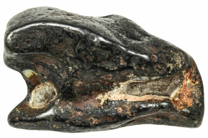 Agoudal Iron Meteorite ( g) - Morocco #303915